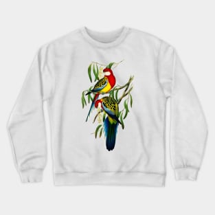 Rose-hill Parakeet illustration Crewneck Sweatshirt